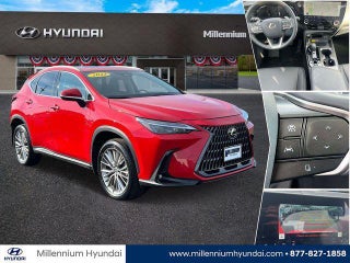 2023 Lexus NX 350h with White Pearl Exterior