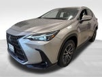 2025 NX 350h Thumbnail 4