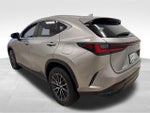 2025 NX 350h Thumbnail 5