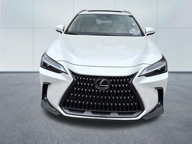 2024 Lexus NX - $45,979