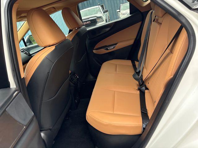 2024 Lexus NX - $45,979