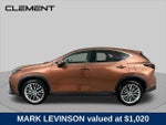 2025 NX 350 Thumbnail 4