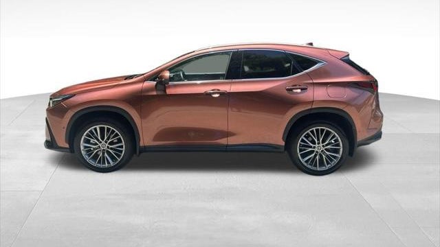2025 Lexus NX 350 Luxury