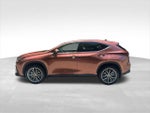 2025 NX 350 Thumbnail 2