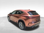 2025 NX 350 Thumbnail 3