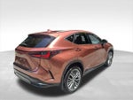 2025 NX 350 Thumbnail 5
