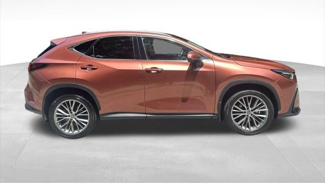 2025 Lexus NX 350 Luxury