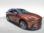 2025 NX 350 Thumbnail 8