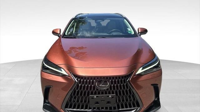 2025 Lexus NX 350 Luxury