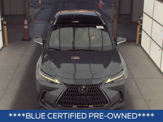 2024 Lexus NX - $41,346