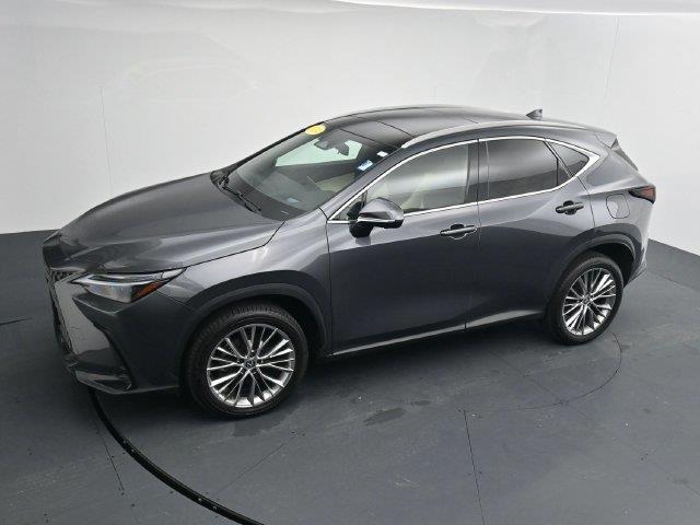 2024 Lexus NX - $41,346