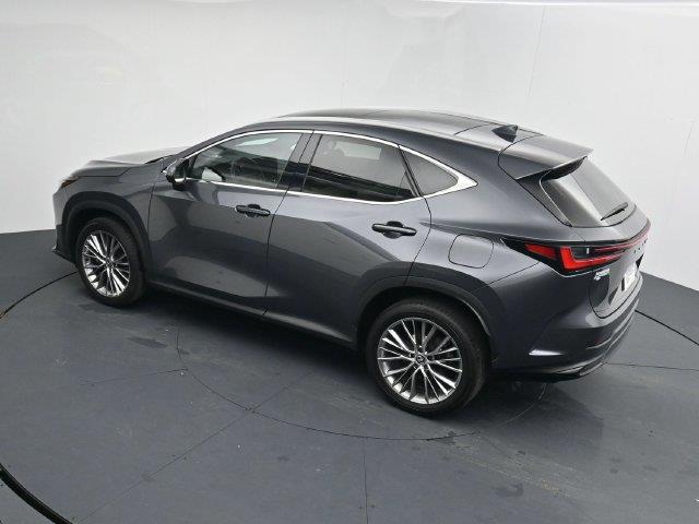 2024 Lexus NX - $41,346