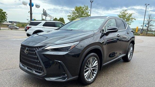 2024 Lexus NX 350 Luxury