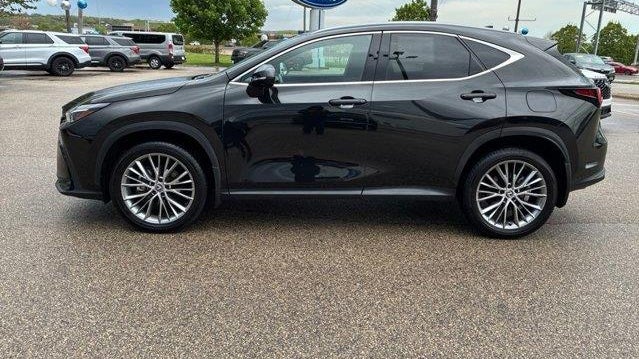 2024 Lexus NX 350 Luxury