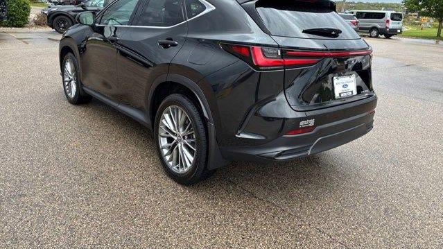 2024 Lexus NX 350 Luxury