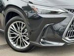 2025 NX 350 Thumbnail 2