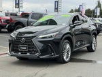 2025 NX 350 Thumbnail 4
