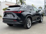 2025 NX 350 Thumbnail 8