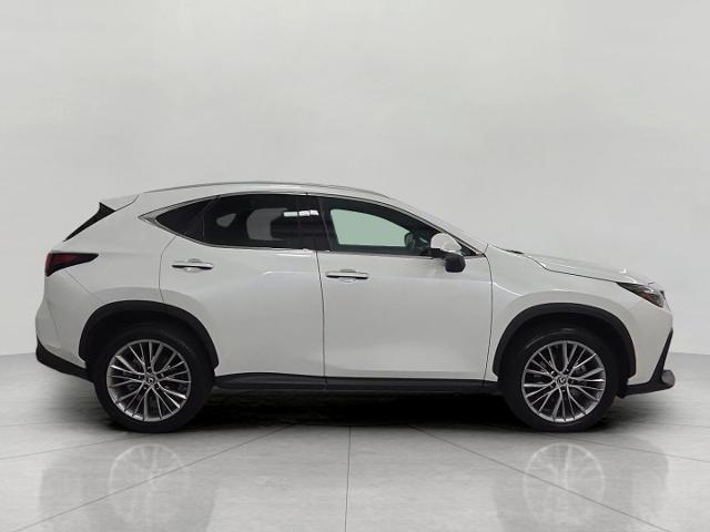 2024 Lexus NX - $49,510