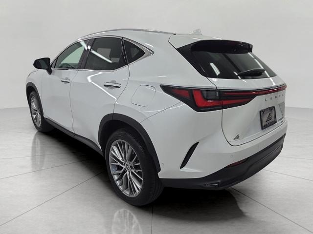 2024 Lexus NX - $49,510