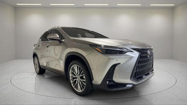 2025 Lexus NX