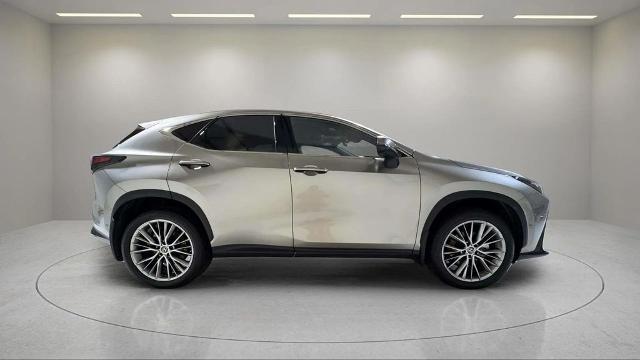2025 Lexus NX - $58,495
