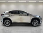 2025 NX 350h Thumbnail 2