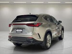 2025 NX 350h Thumbnail 3