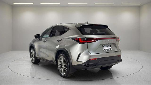 2025 Lexus NX - $58,495