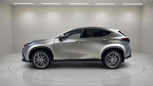2025 Lexus NX - $58,495