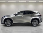 2025 NX 350h Thumbnail 18