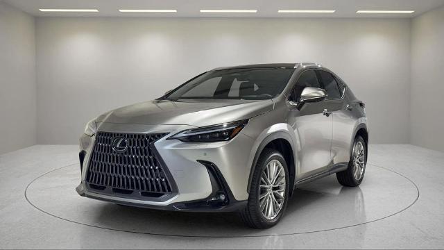 2025 Lexus NX - $58,495