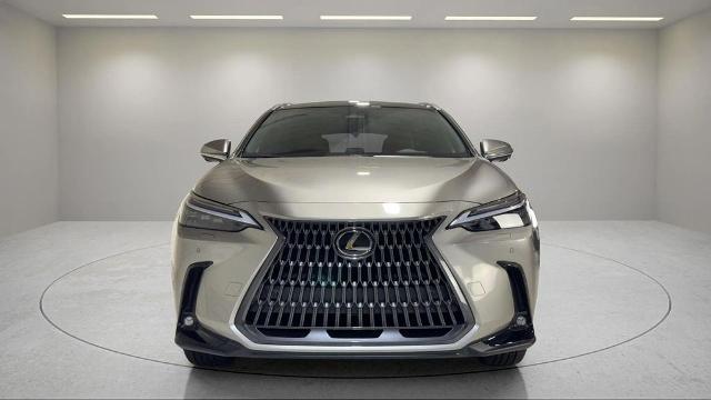 2025 Lexus NX - $58,495