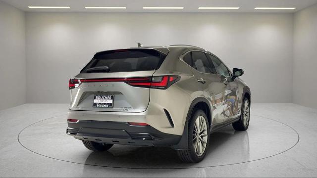 2025 Lexus NX - $58,495