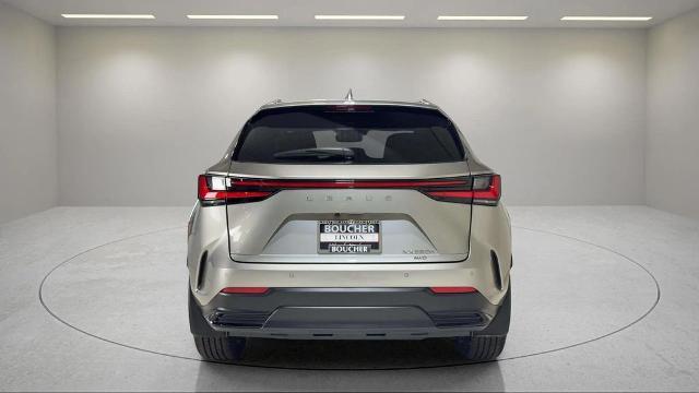 2025 Lexus NX - $58,495