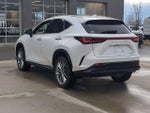 2023 NX 350h Thumbnail 4