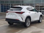 2023 NX 350h Thumbnail 6