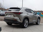 2025 NX 350h Thumbnail 7
