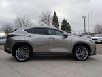 2025 NX 350h Thumbnail 8