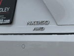 2023 NX 350 Thumbnail 12