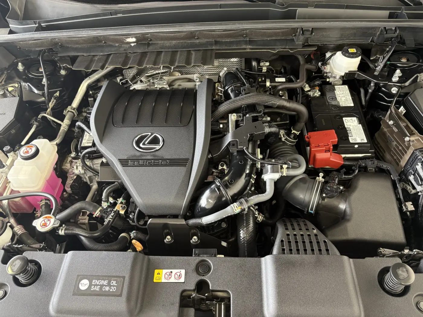 2024 Lexus NX - $39,991