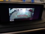 2020 RX 350 Thumbnail 38