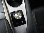 2020 RX 350 Thumbnail 40