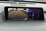 2019 RX 350 Thumbnail 20