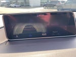 2019 RX 350 Thumbnail 28