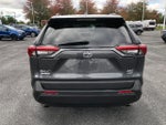 2019 RAV4 Thumbnail 4