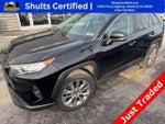 2019 RAV4 Thumbnail 1