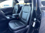 2025 RAV4 Thumbnail 17
