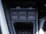 2024 RAV4 Thumbnail 37