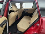 2025 RAV4 Thumbnail 20